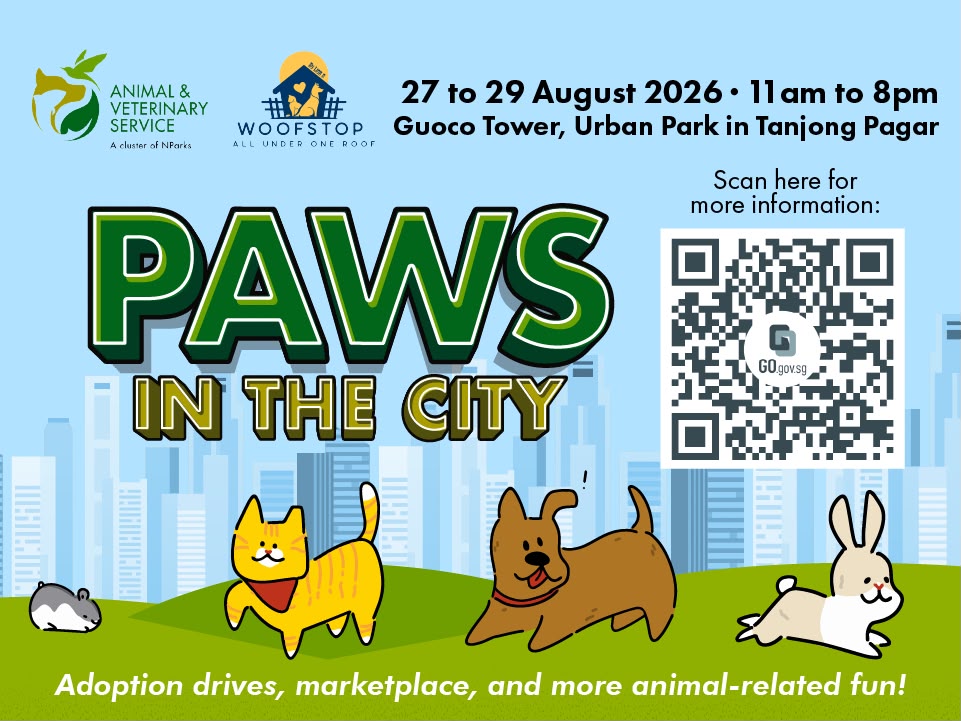 Paws in the City photo 1