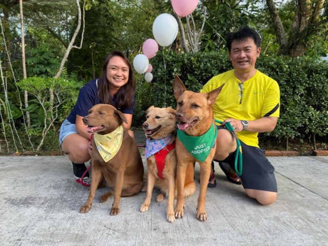 Dazzler, Choco & Kivi Blessing