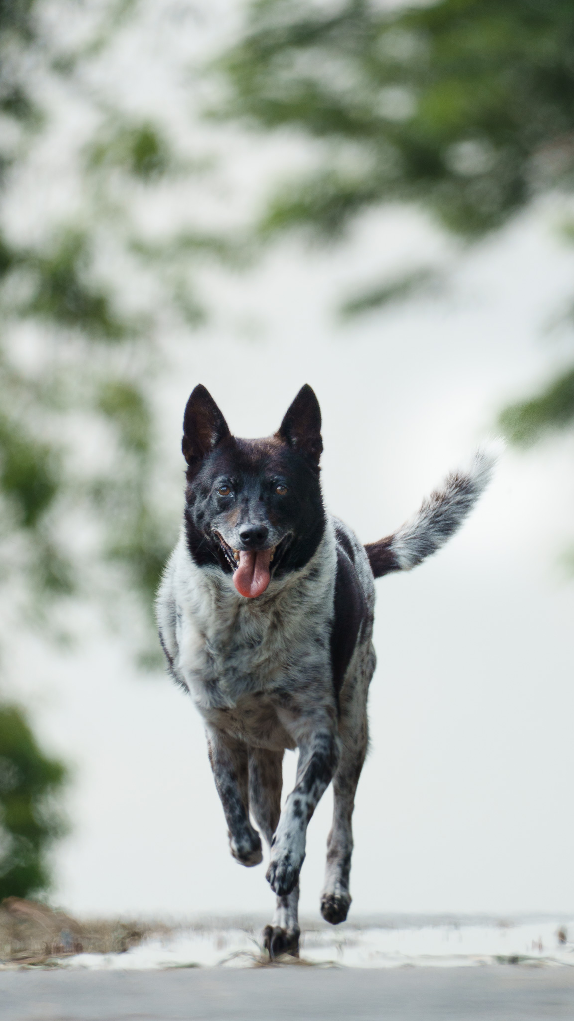 Bree photo 3