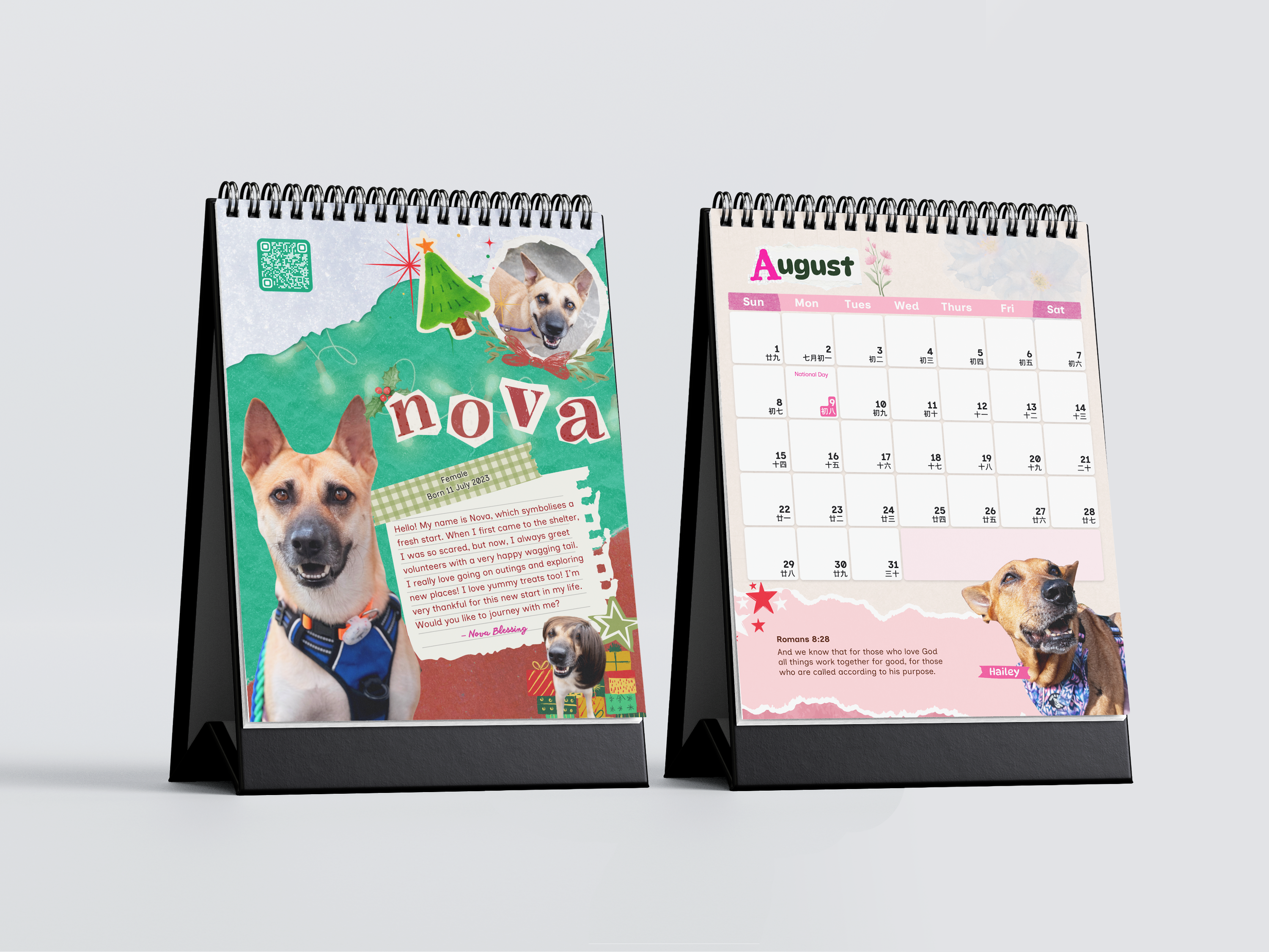 Calendar Sale cover image