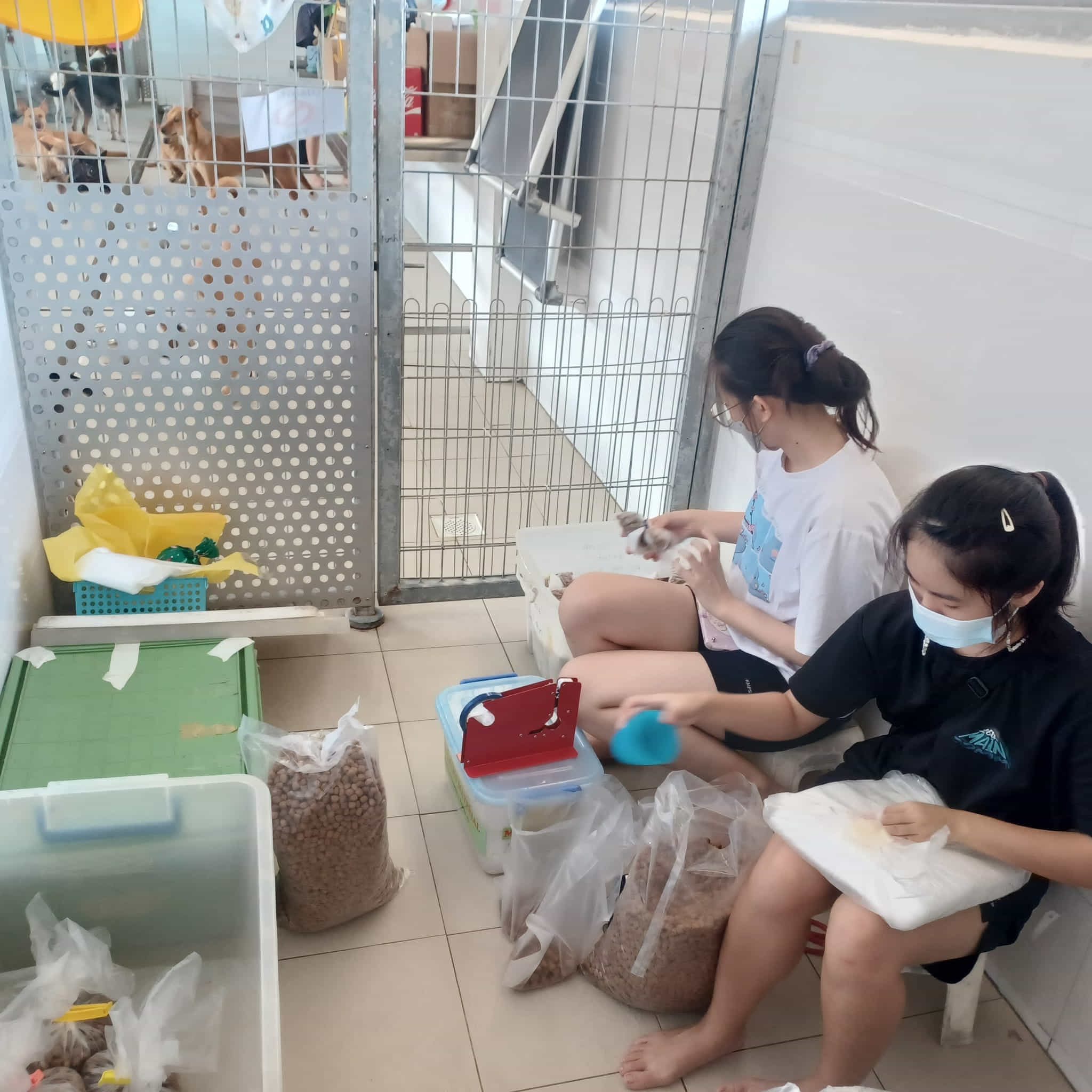 Sewing / Packing Team photo 4