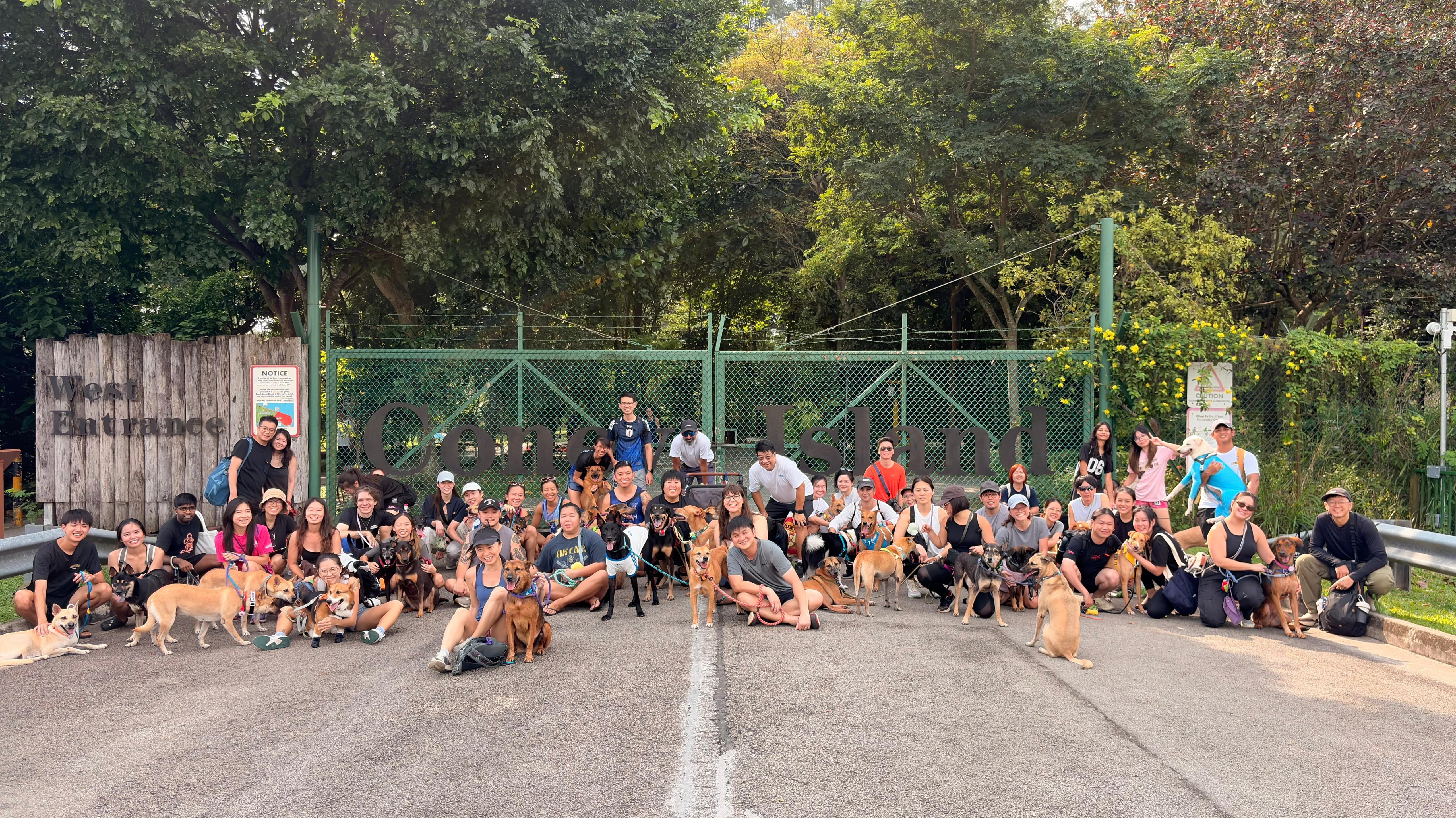 Mercylight volunteers and adopters with rescued dogs