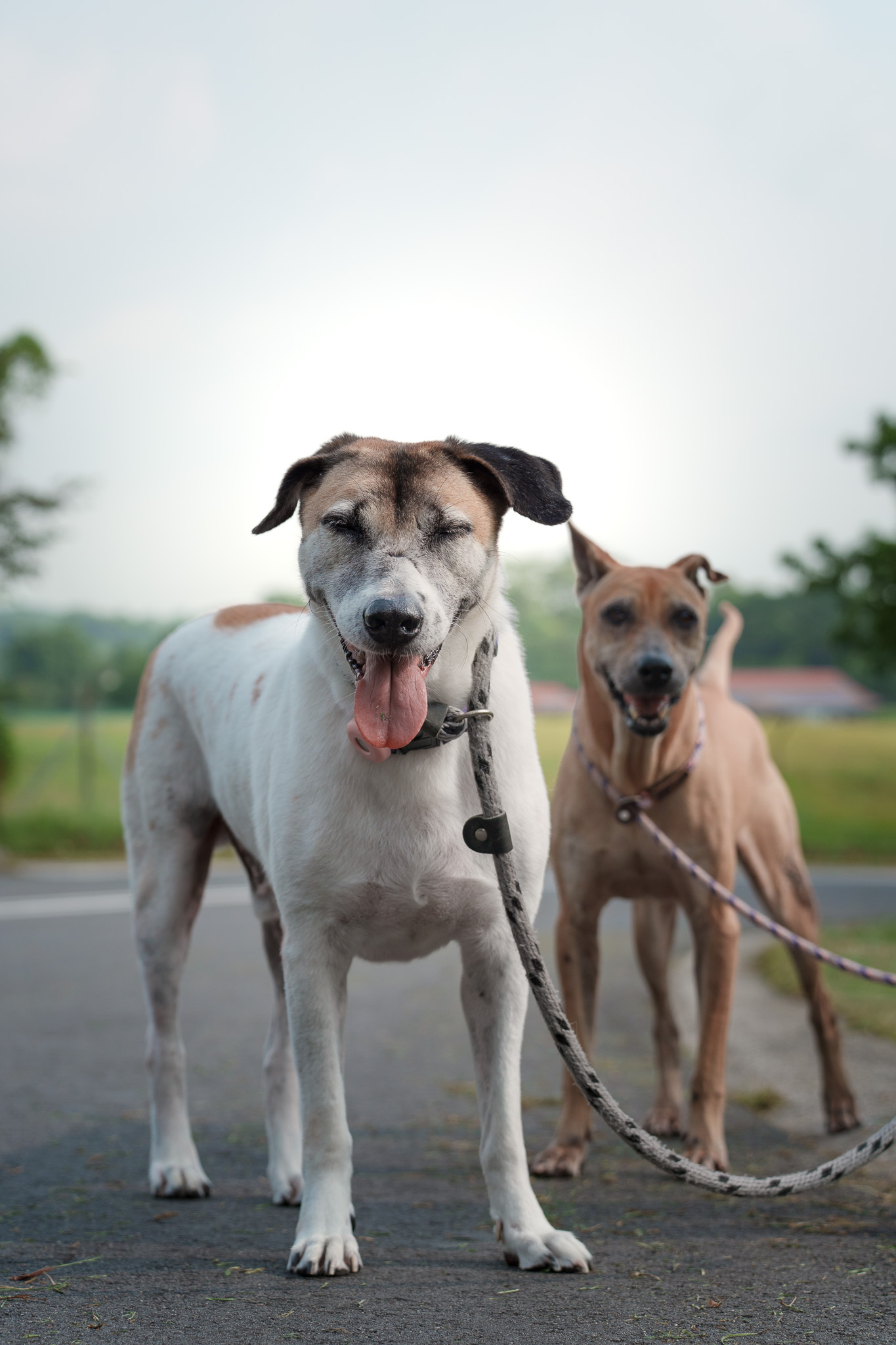 Your Donation Will Be Matched 50% cover image