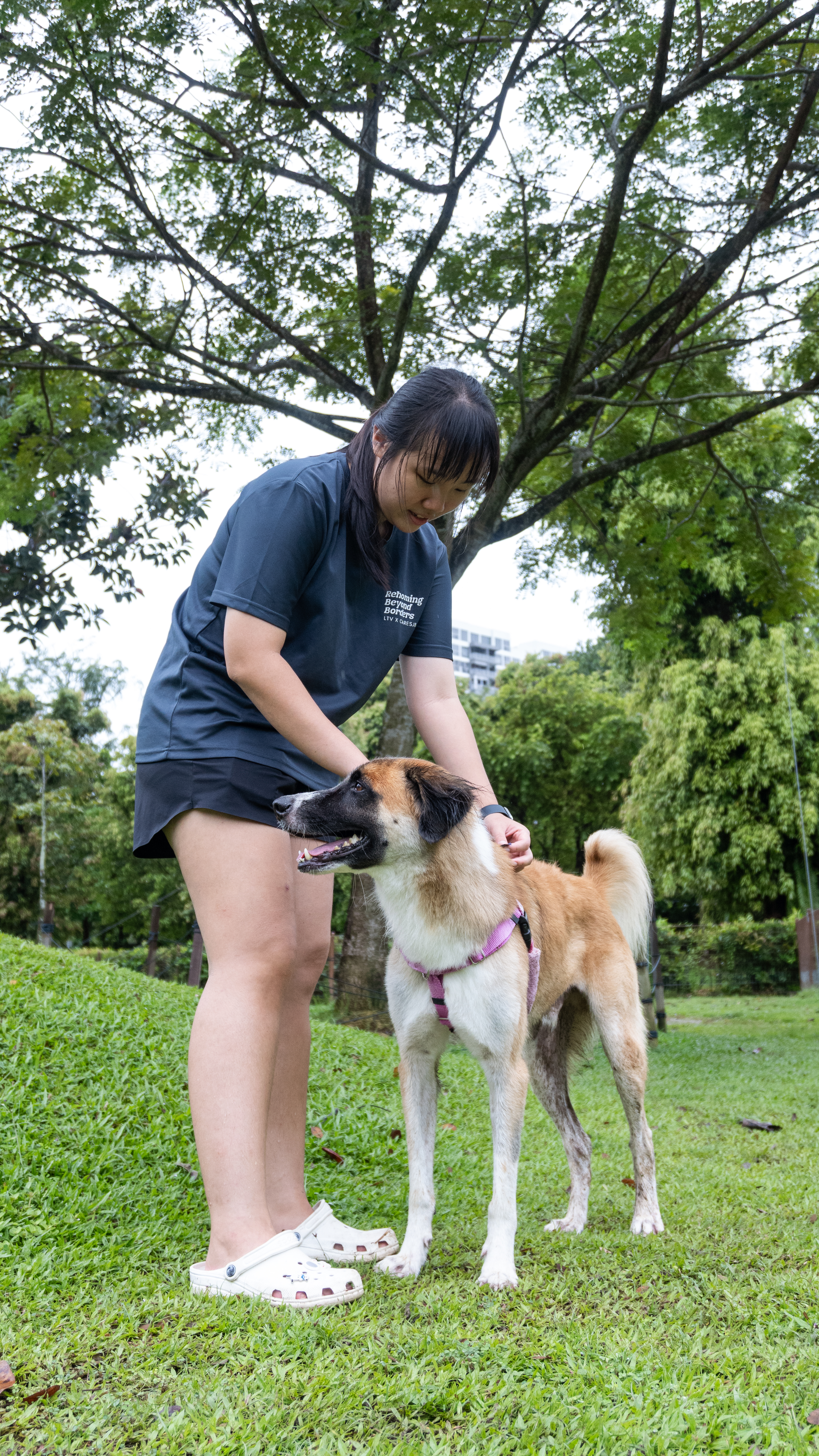 Kennel Volunteer