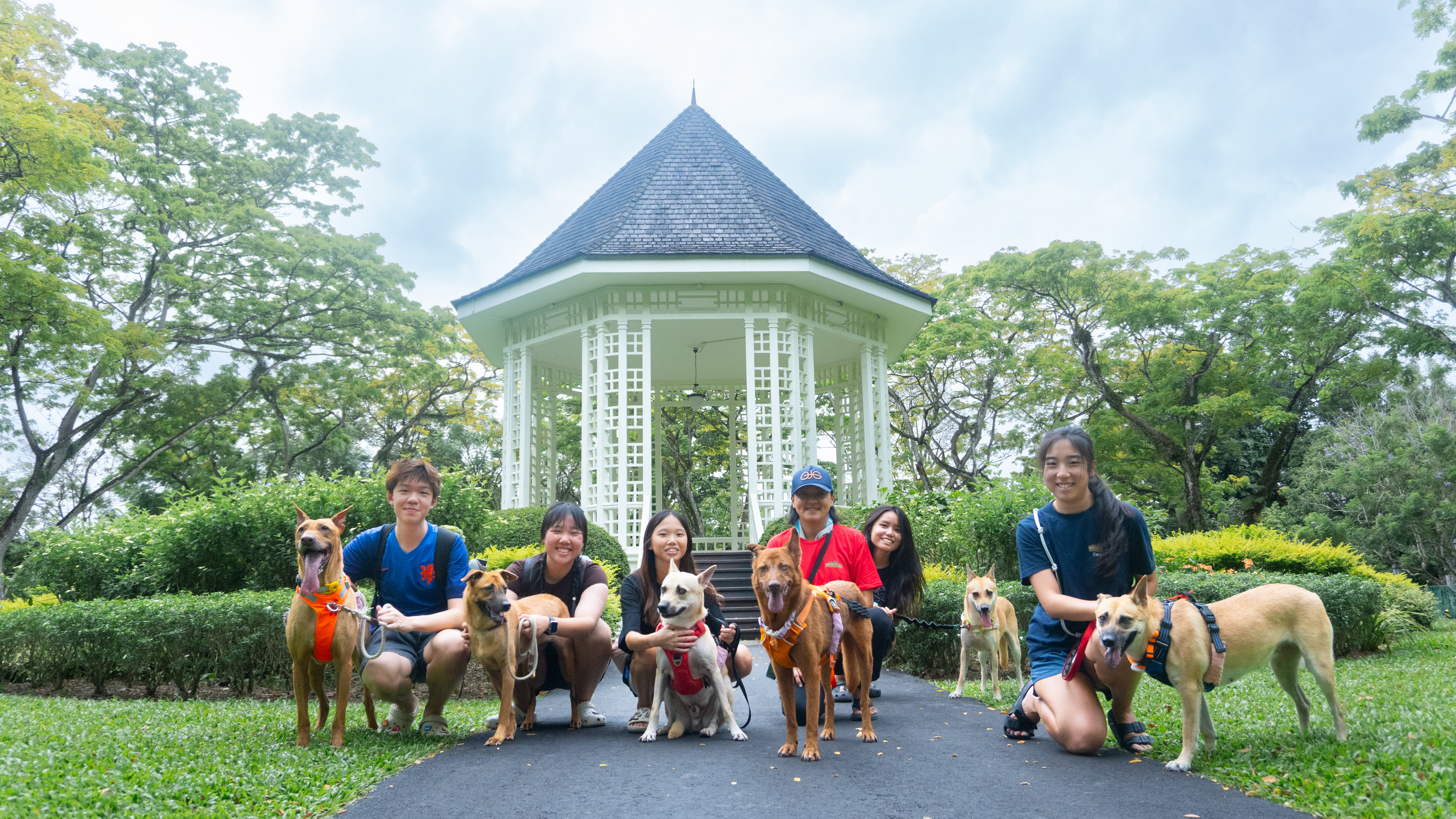 Mercylight volunteer group